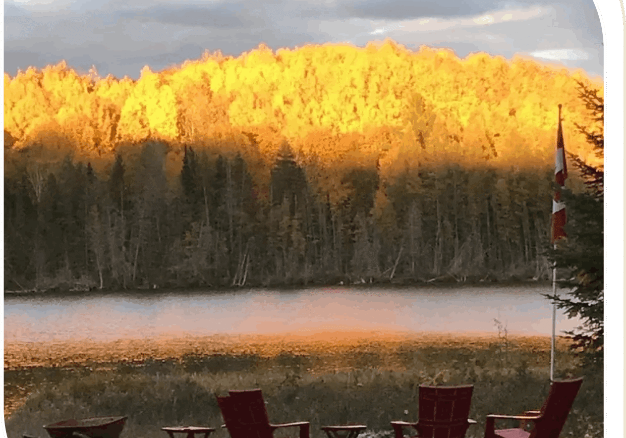 Adirondack chairs by a peaceful lake with a forest in golden sunlight.